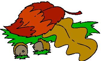 lisc-ruchomy-obrazek-0254.jpg