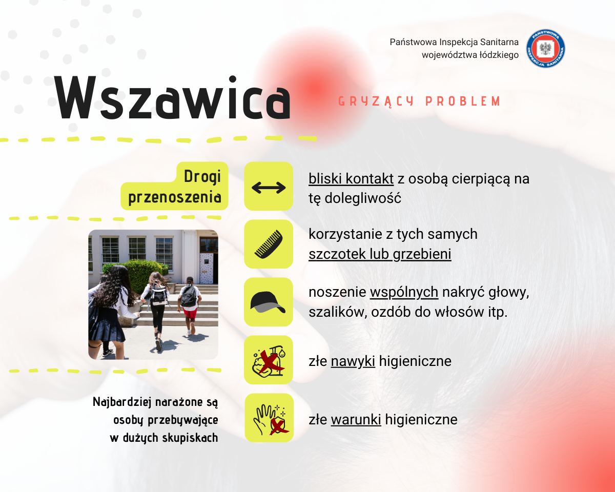 wszawica-fb-1.jpg