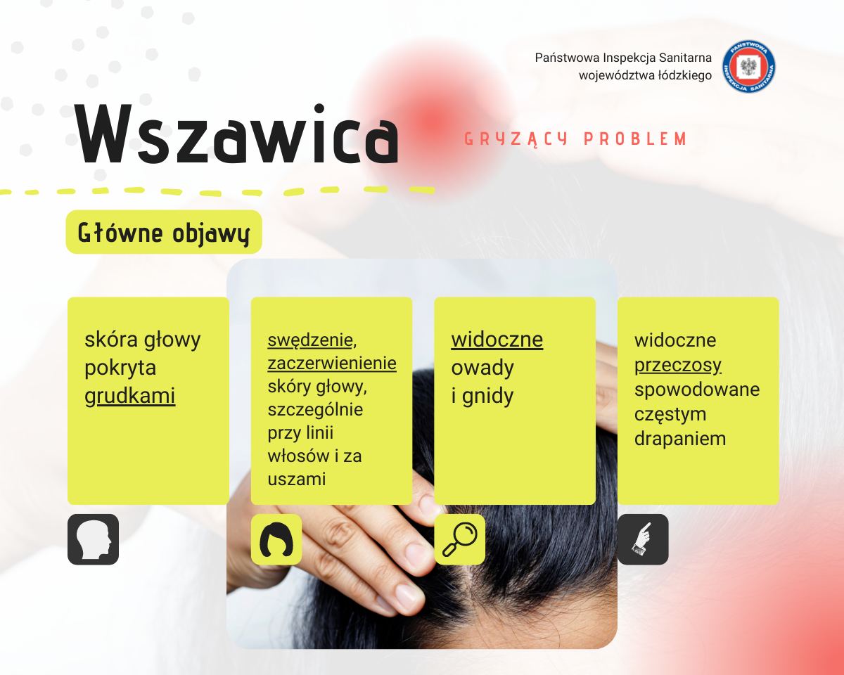 wszawica-fb-2.jpg