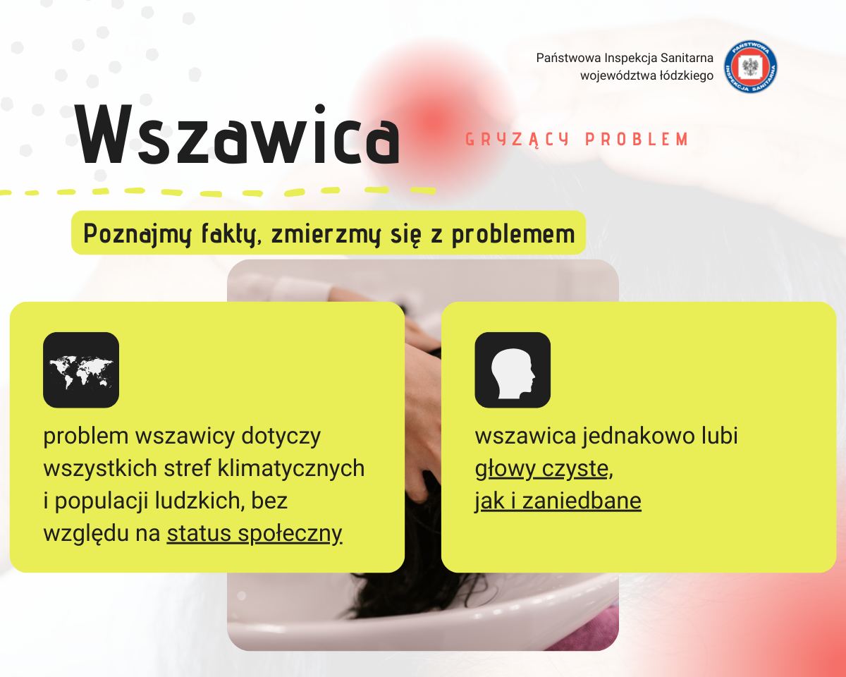 wszawica-fb-3.jpg