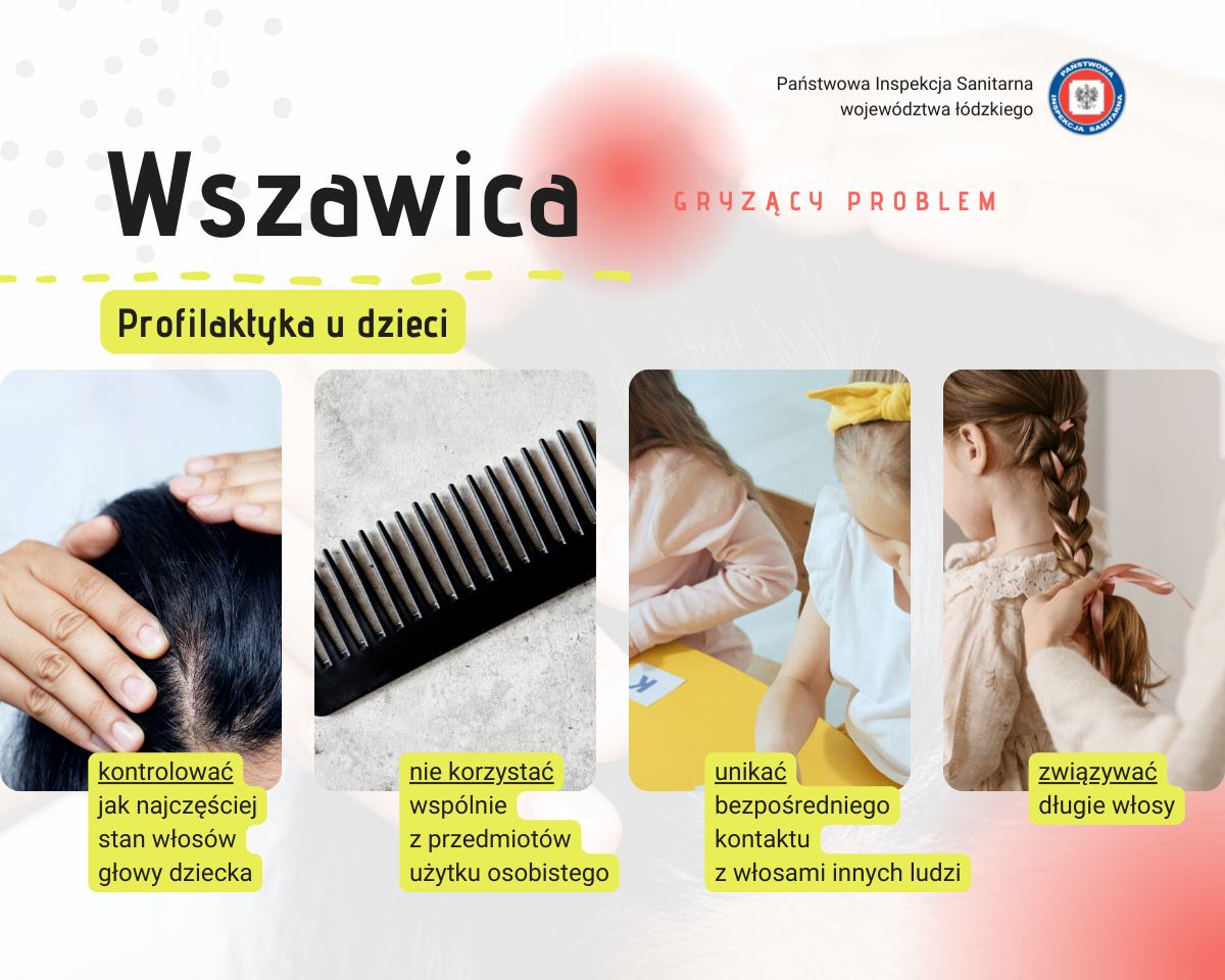 wszawica-fb-5.jpg